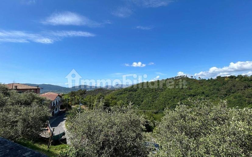 Bilocale buono stato, seminterrato, Olmo, Santa Caterina, Falcinello, Sarzana — foto 27 di 29