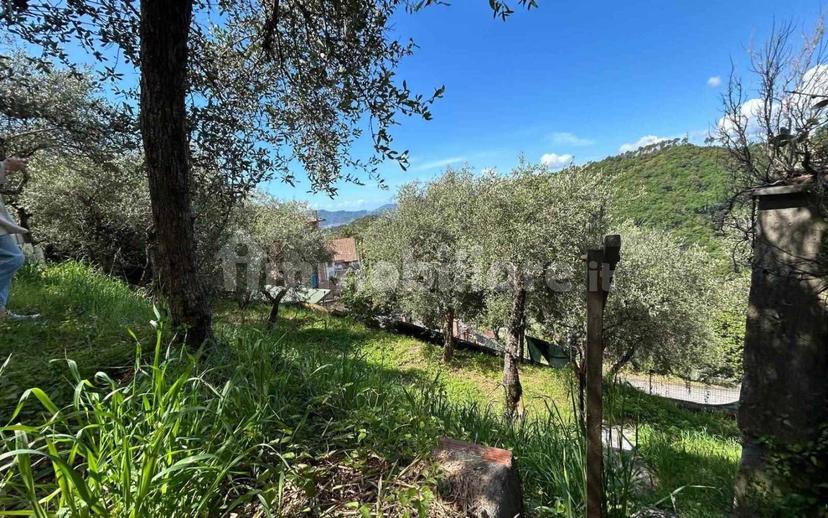 Bilocale buono stato, seminterrato, Olmo, Santa Caterina, Falcinello, Sarzana — foto 2 di 29