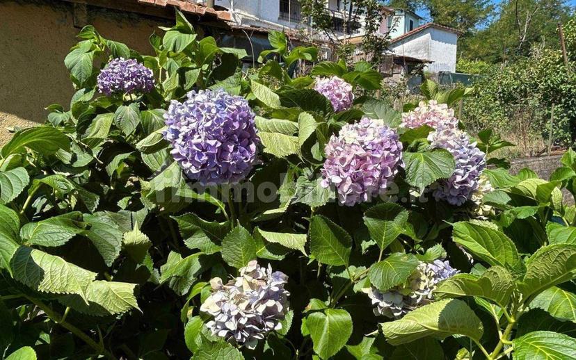 Quadrilocale buono stato, primo piano, Riccò Del Golfo, Riccò del Golfo di Spezia — foto 11 di 48