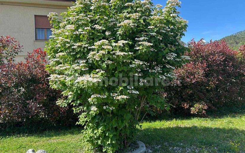 Terratetto unifamiliare 140 m², ottimo stato, Centro, Brugnato — foto 34 di 37
