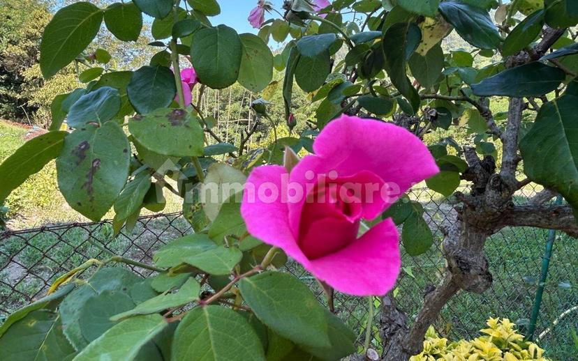 Quadrilocale buono stato, primo piano, Riccò Del Golfo, Riccò del Golfo di Spezia — foto 30 di 48