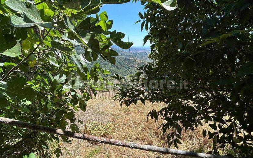 Appartamento buono stato, secondo piano, Calice al Cornoviglio — foto 36 di 40