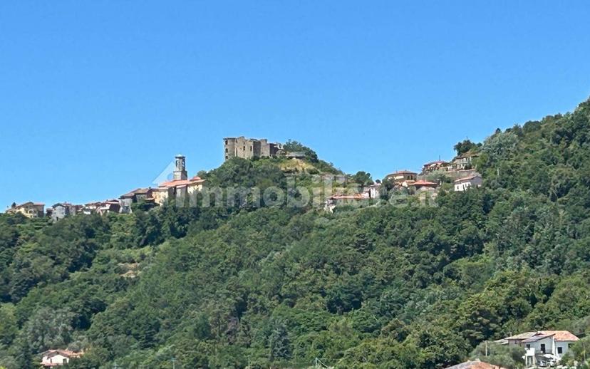 Appartamento buono stato, secondo piano, Calice al Cornoviglio — foto 27 di 40