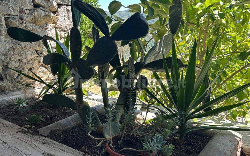 Appartamento buono stato, secondo piano, Calice al Cornoviglio — foto 3 di 40