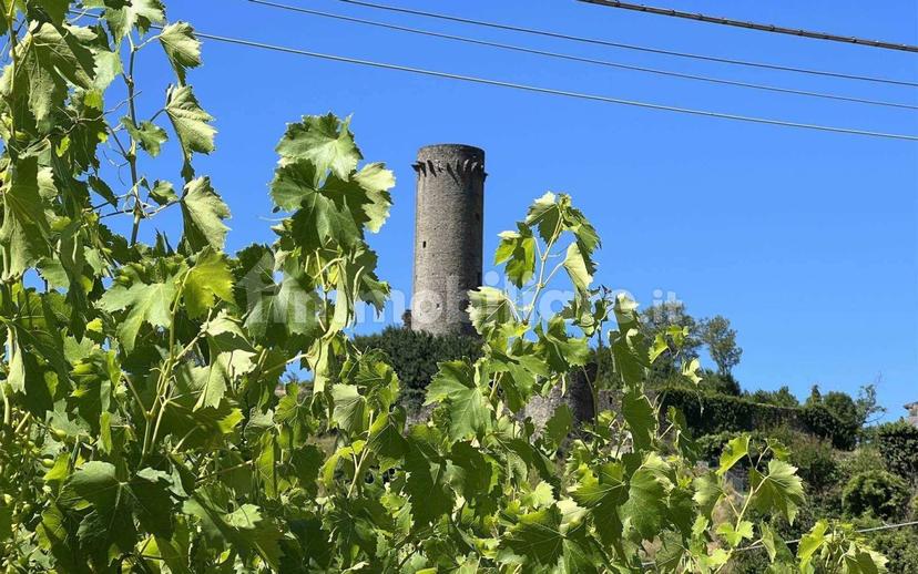 Appartamento via Castello di Camporaghena 52, Comano — foto 8 di 28
