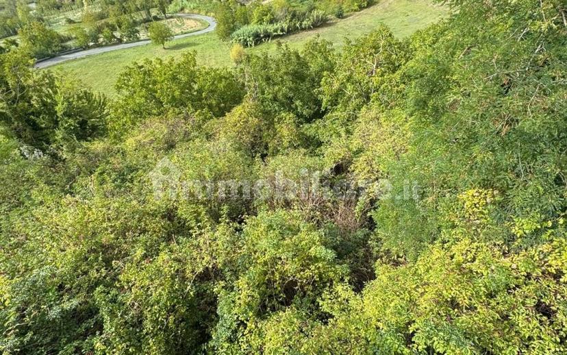 Villa plurifamiliare via De Rossi 7, Centro, Trisobbio — foto 3 di 11