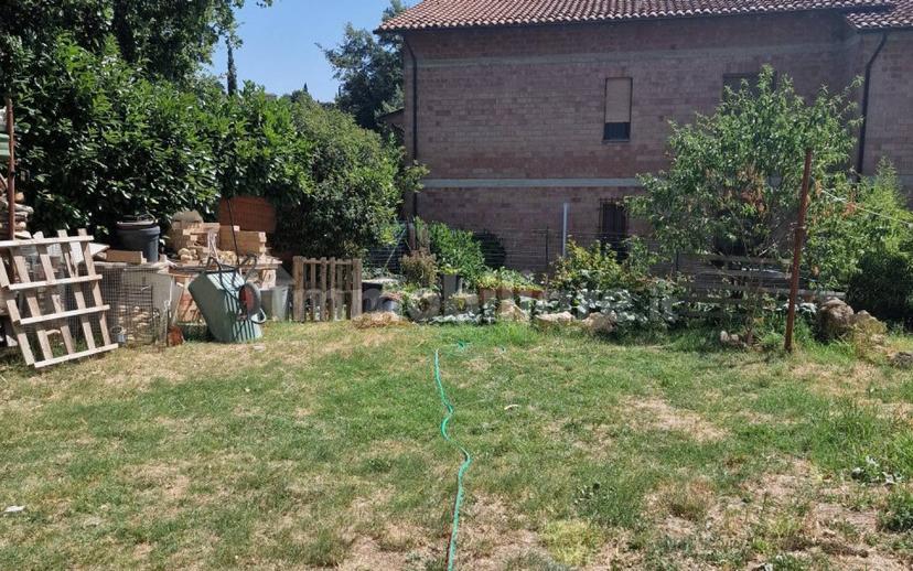 Quadrilocale buono stato, piano terra, Montefollonico, Torrita di Siena — foto 10 di 28