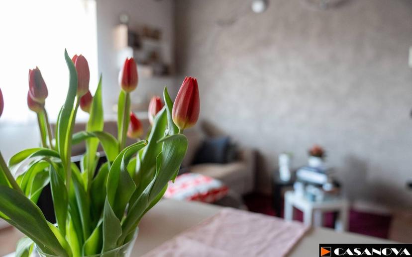 Bilocale via Stribiana 9, Carnago — foto 2 di 18
