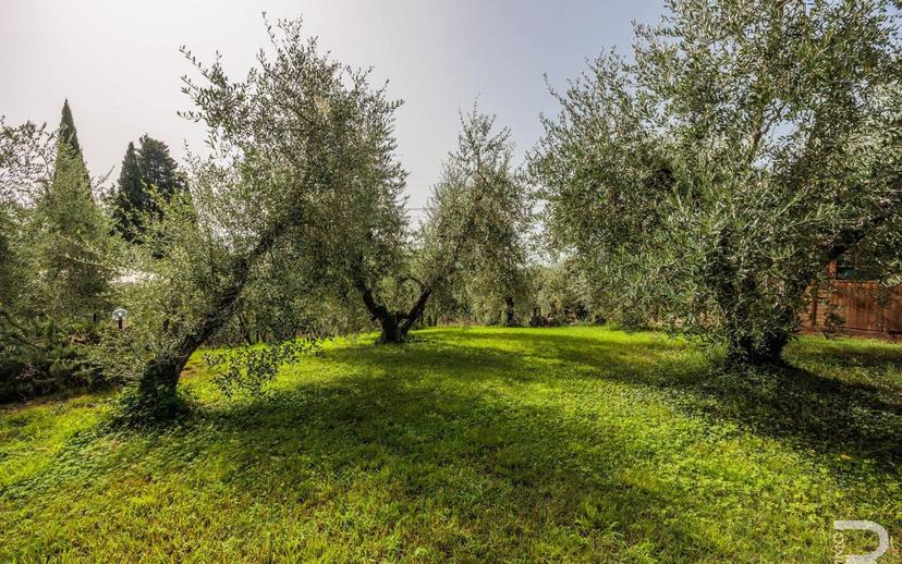 Villa unifamiliare via Stradella, Larciano — foto 29 di 63