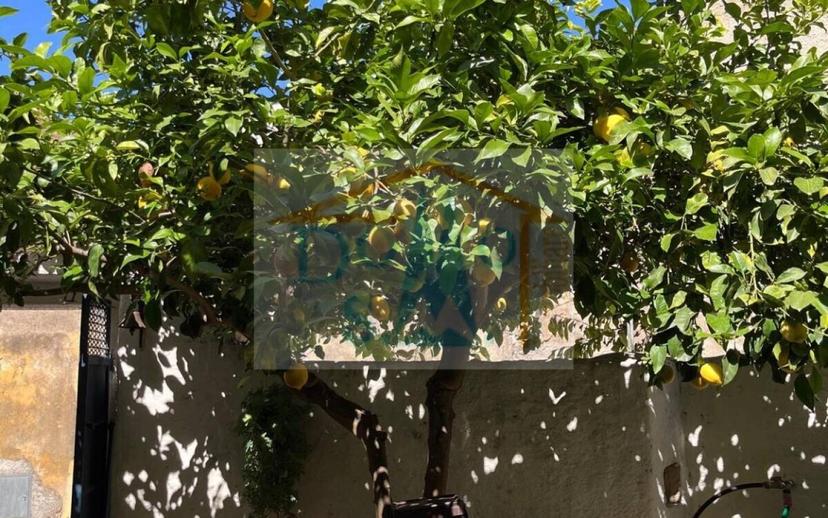 Trilocale buono stato, piano terra, Onifai — foto 2 di 24