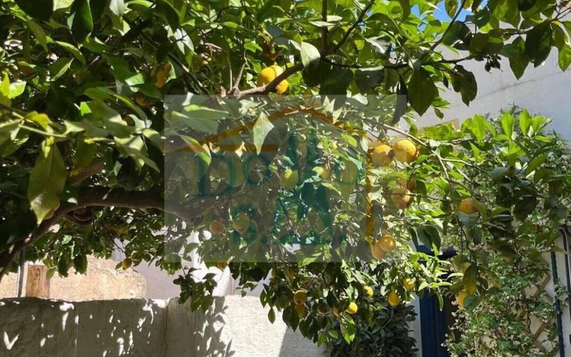 Trilocale buono stato, piano terra, Onifai — foto 11 di 24