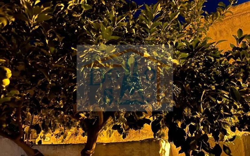 Trilocale buono stato, piano terra, Onifai — foto 21 di 24