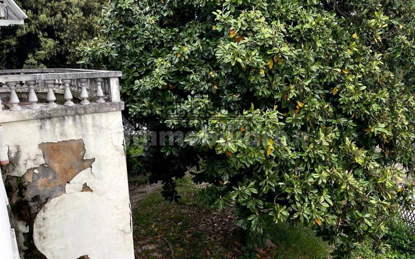 Villa unifamiliare, da ristrutturare, 500 m², Centro, Mogliano Veneto — foto 16 di 31