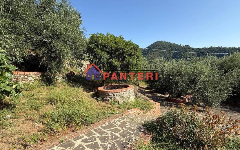 Casa colonica via del Monte Est, Collodi, Ponte all'Abate, Monte a Pescia, Pescia — foto 31 di 34