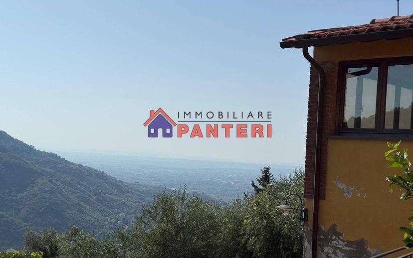Casa colonica via del Monte Est, Collodi, Ponte all'Abate, Monte a Pescia, Pescia — foto 28 di 34
