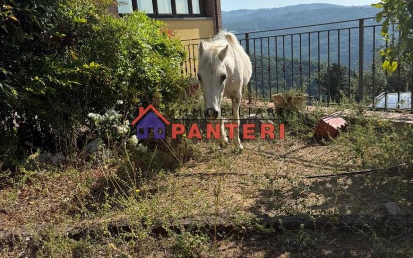 Casa colonica via del Monte Est, Collodi, Ponte all'Abate, Monte a Pescia, Pescia — foto 15 di 34
