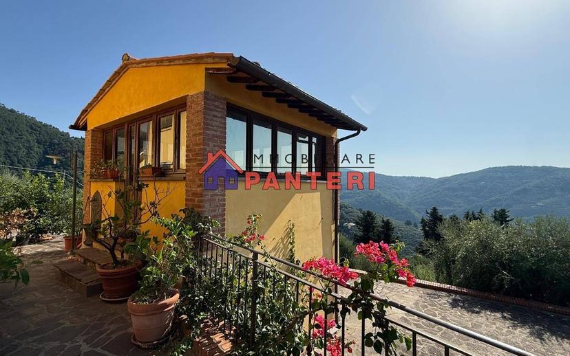 Casa colonica via del Monte Est, Collodi, Ponte all'Abate, Monte a Pescia, Pescia — foto 18 di 34