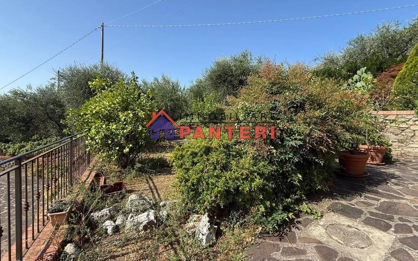 Casa colonica via del Monte Est, Collodi, Ponte all'Abate, Monte a Pescia, Pescia — foto 24 di 34