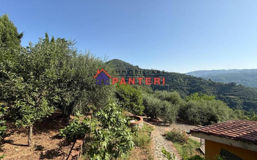 Casa colonica via del Monte Est, Collodi, Ponte all'Abate, Monte a Pescia, Pescia — foto 13 di 34