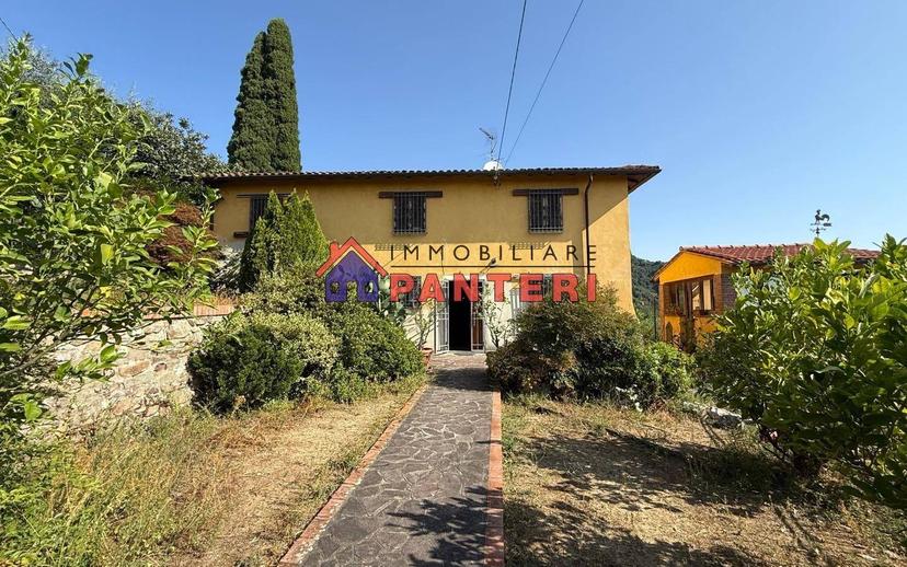 Casa colonica via del Monte Est, Collodi, Ponte all'Abate, Monte a Pescia, Pescia — foto 8 di 34