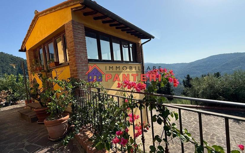 Casa colonica via del Monte Est, Collodi, Ponte all'Abate, Monte a Pescia, Pescia — foto 19 di 34