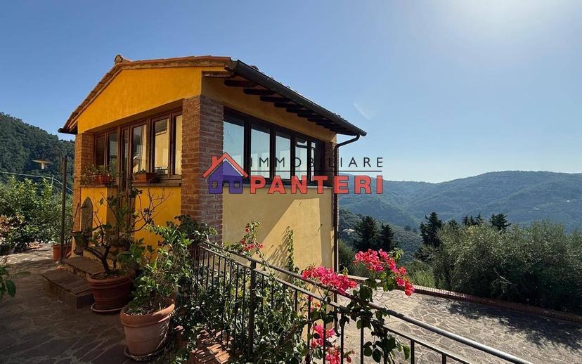 Casa colonica via del Monte Est, Collodi, Ponte all'Abate, Monte a Pescia, Pescia — foto 23 di 34