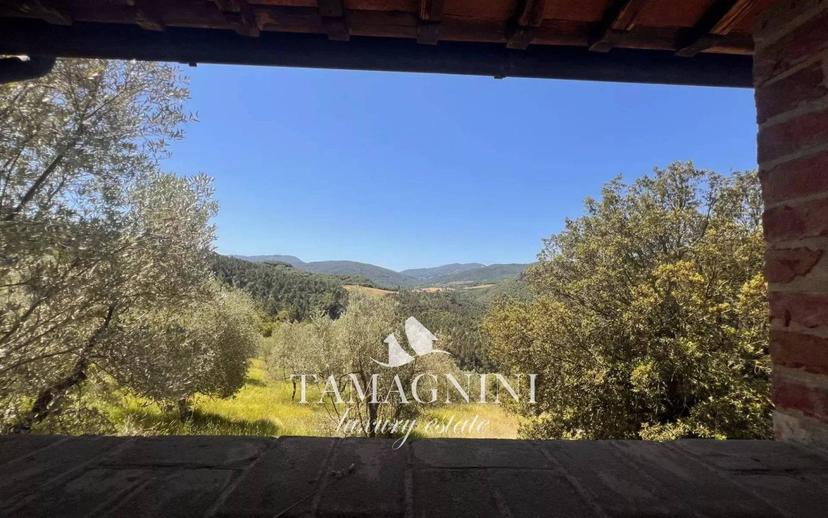 Casa colonica, ottimo stato, 280 m², Monteguidi, Casole d'Elsa — foto 6 di 24