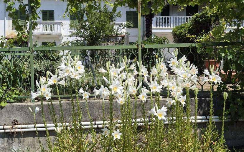 Casa colonica, buono stato, 300 m², Cerro Tanaro — foto 5 di 30