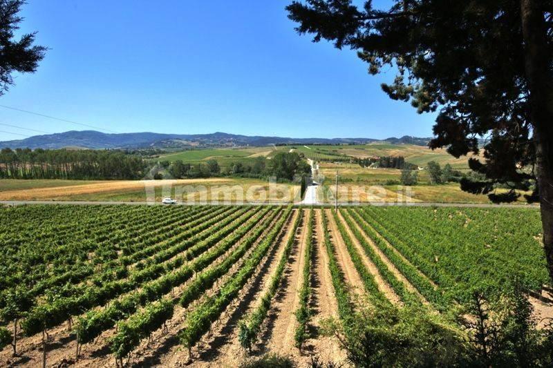 Appartamento via della Cascina 19, Terricciola — foto 4 di 8