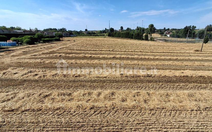 Casa colonica, buono stato, 300 m², Cerro Tanaro — foto 22 di 30