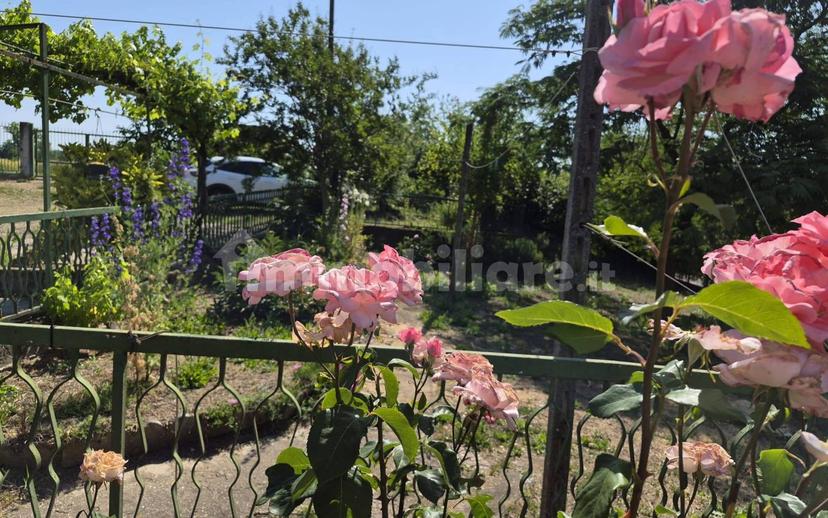 Casa colonica, buono stato, 300 m², Cerro Tanaro — foto 25 di 30