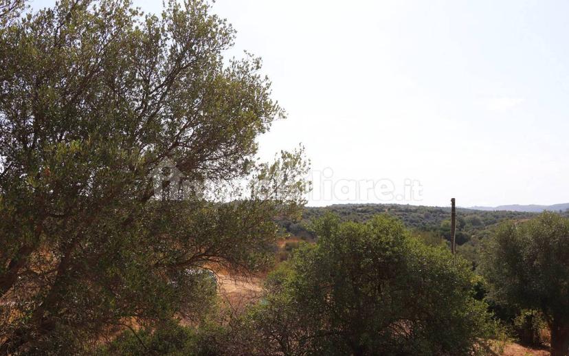 Villa unifamiliare C.da San Marco 1, Noto — foto 15 di 20