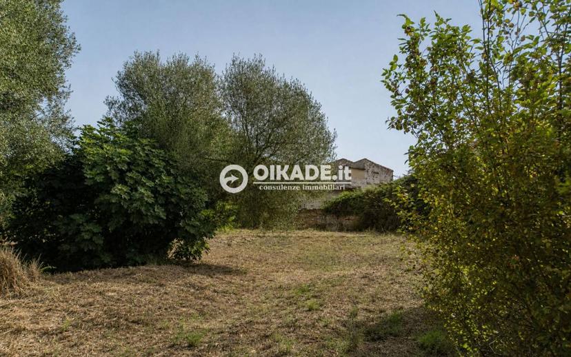 Casale via Parrocchia, Nureci — foto 18 di 21