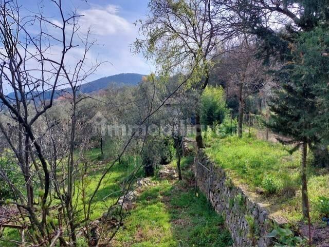 Rustico via Caffaggio 10, Ameglia