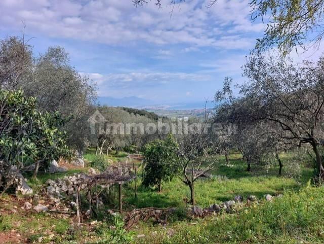 Rustico via Caffaggio 10, Ameglia — foto 5 di 31