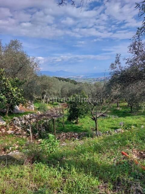 Rustico via Caffaggio 10, Ameglia