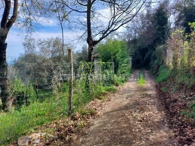 Rustico via Caffaggio 10, Ameglia — foto 12 di 31
