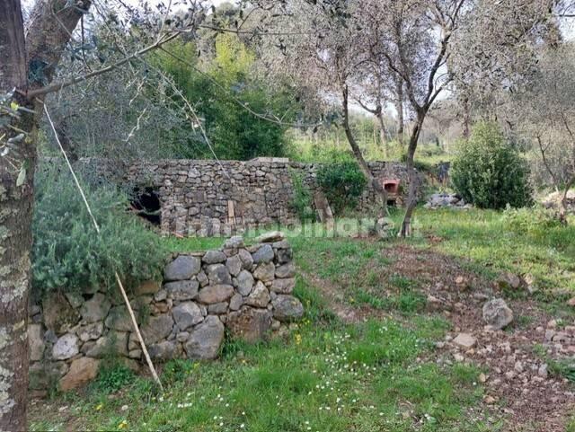 Rustico via Caffaggio 10, Ameglia — foto 15 di 31