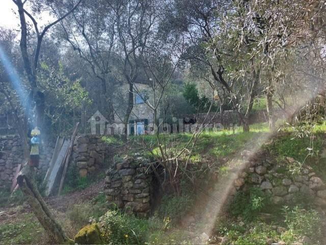 Rustico via Caffaggio 10, Ameglia — foto 21 di 31