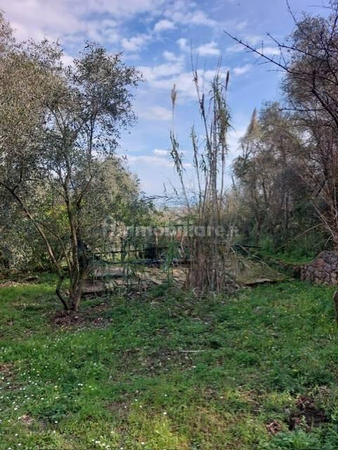Rustico via Caffaggio 10, Ameglia — foto 20 di 31