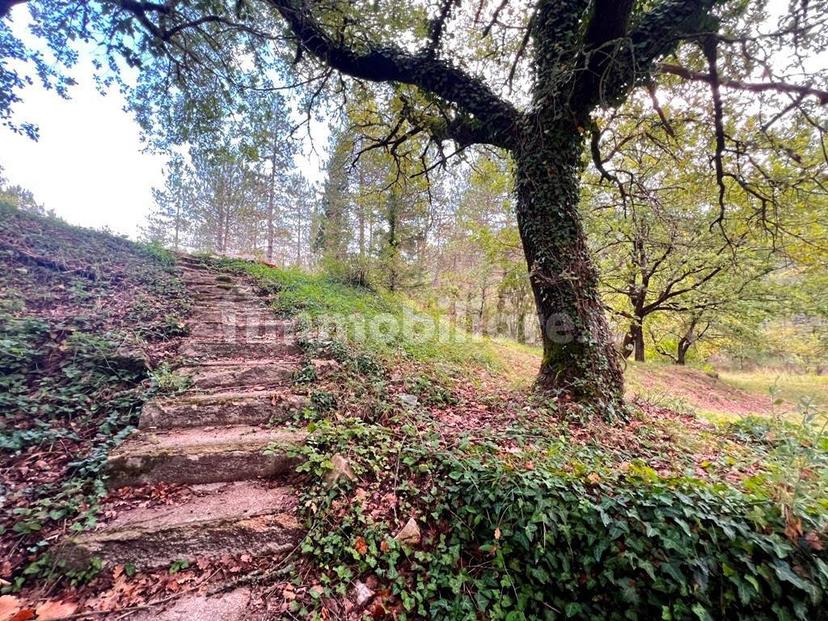 Casale, da ristrutturare, 219 m², Sansepolcro — foto 11 di 24