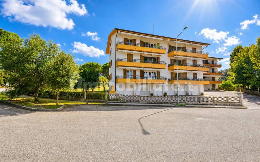 Appartamento via Marche, Centro, Monte San Vito — foto 12 di 18