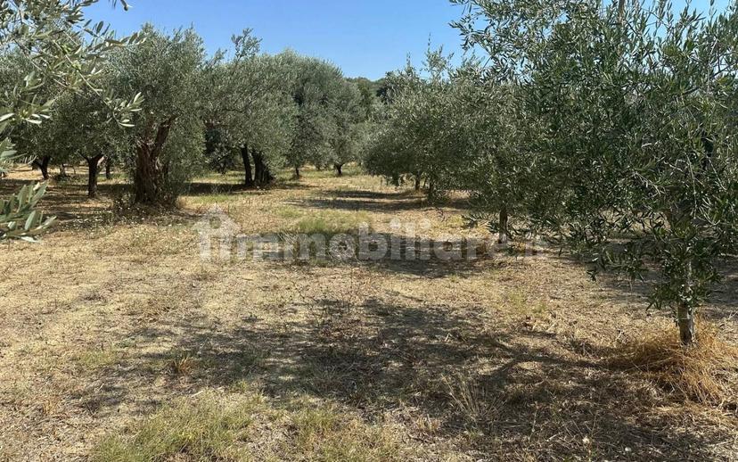 Villa unifamiliare Strada Vicinale Prati 9, Alanno — foto 48 di 71