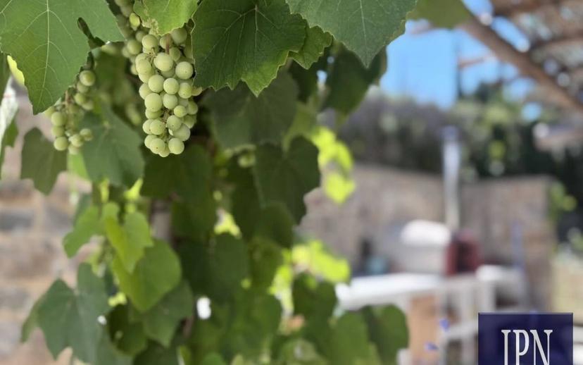 Villa bifamiliare via San Martino, Lisciano Niccone — foto 59 di 75