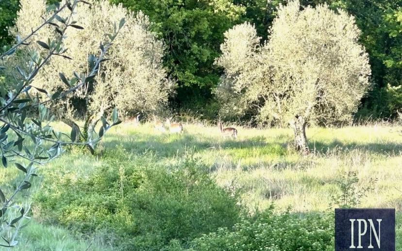 Villa bifamiliare via San Martino, Lisciano Niccone — foto 50 di 75