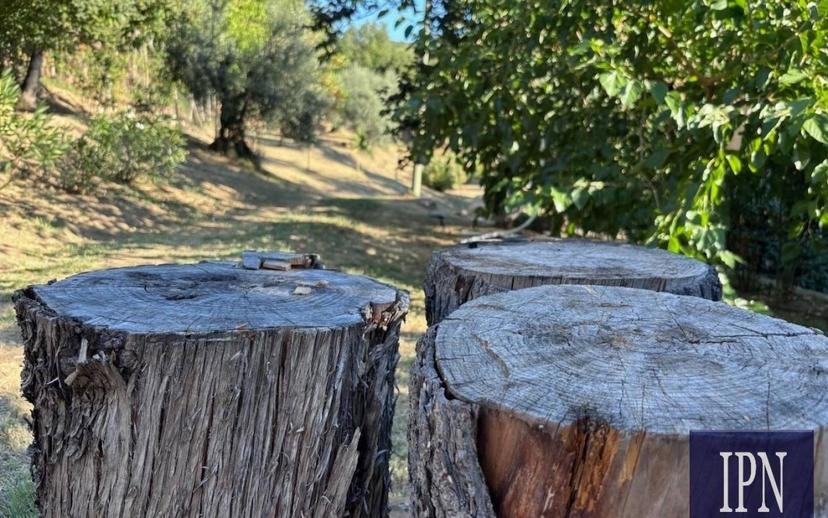 Villa bifamiliare via San Martino, Lisciano Niccone — foto 53 di 75