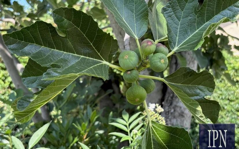 Villa bifamiliare via San Martino, Lisciano Niccone — foto 29 di 75