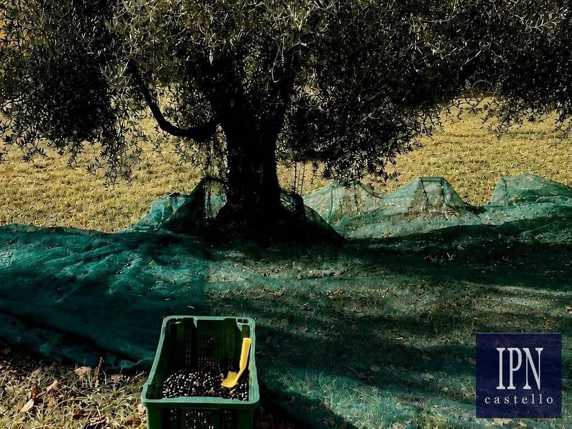 Villa bifamiliare via San Martino, Lisciano Niccone — foto 4 di 75