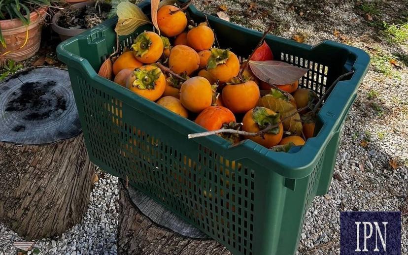 Villa bifamiliare via San Martino, Lisciano Niccone — foto 57 di 75