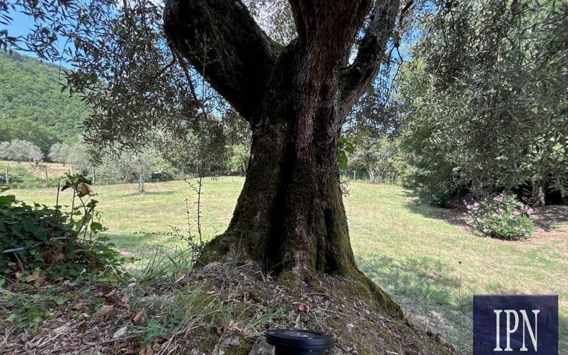 Villa bifamiliare via San Martino, Lisciano Niccone — foto 6 di 75